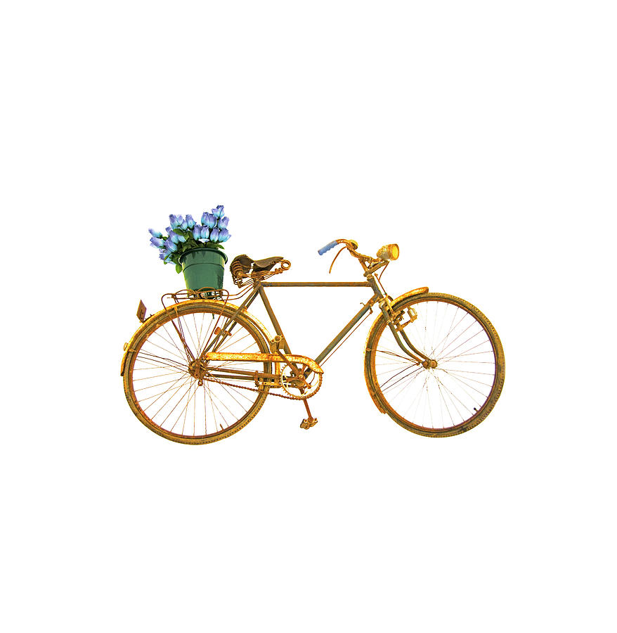 Bicycle On White Photograph