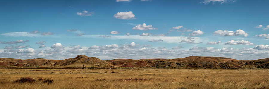 Big Basin Panorama Photograph