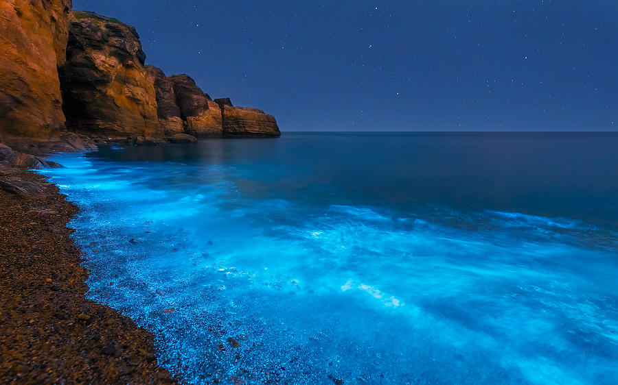 Bioluminescent Bay #1 Photograph by Hua Zhu