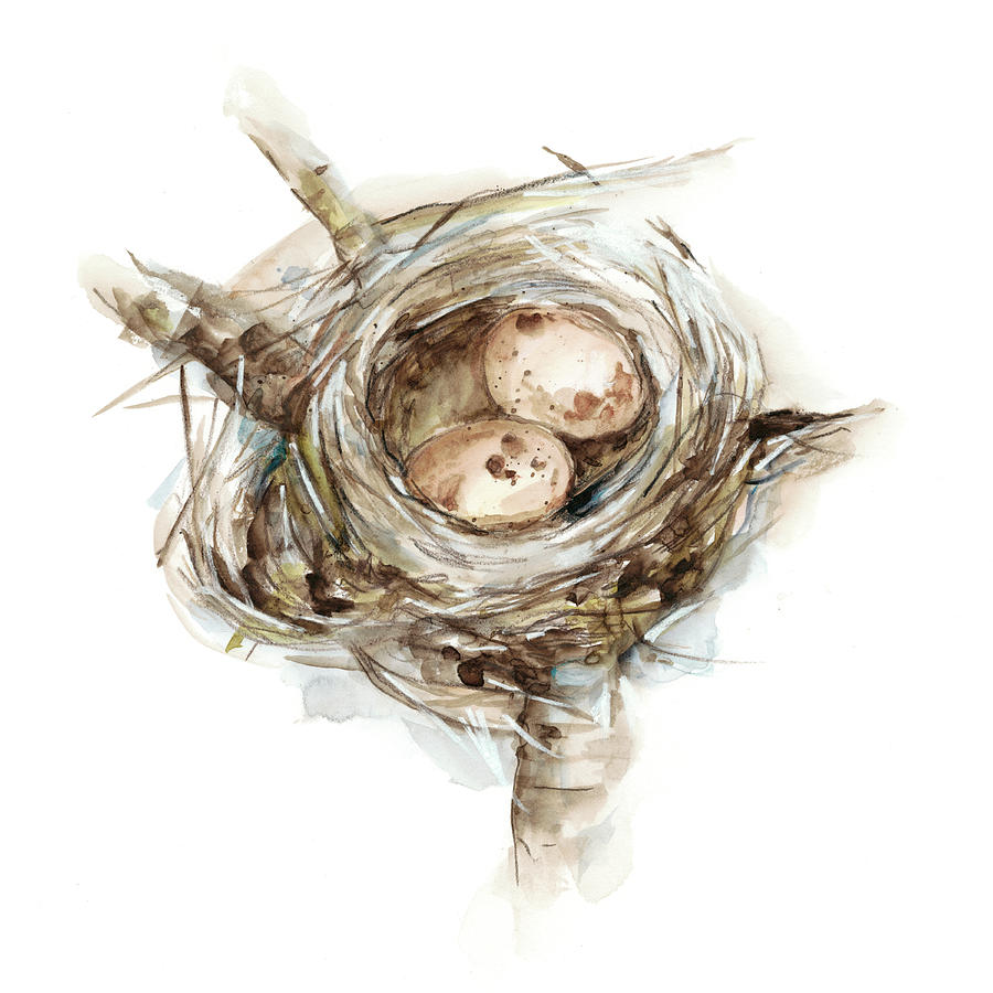 Animal Painting - Bird Nest Study I #1 by Ethan Harper