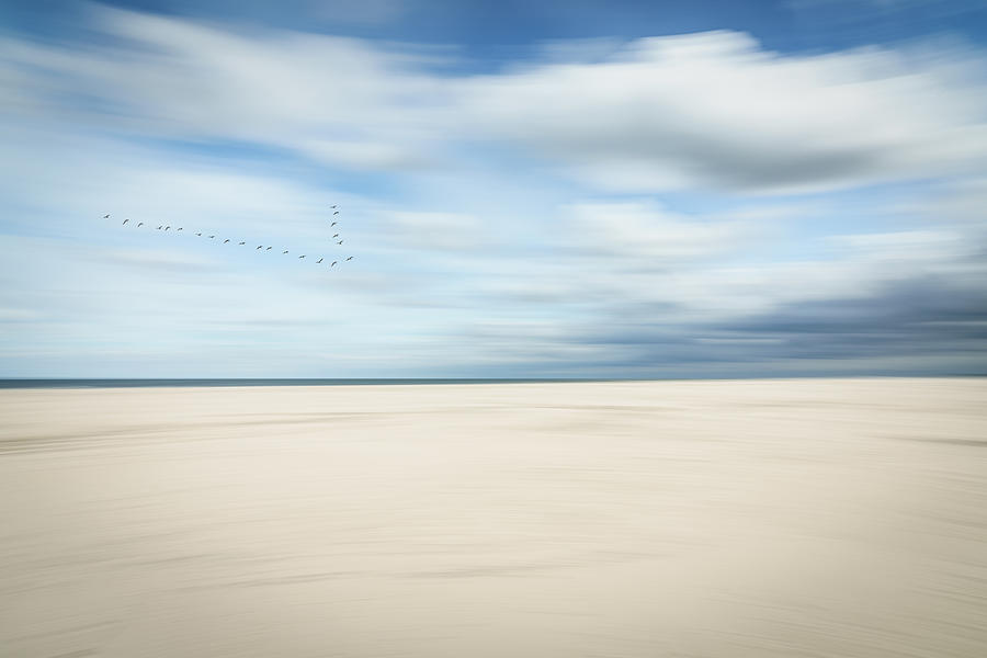 Bird Photograph - Birds At The Seaside #1 by Dieter Reichelt