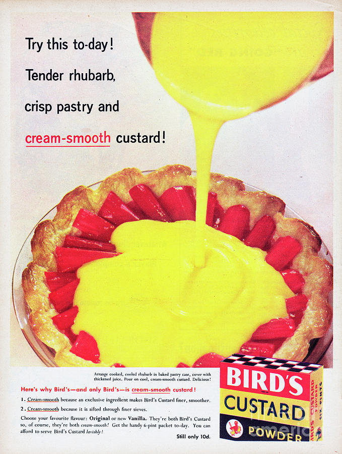 Birds Custard #1 Photograph by Picture Post