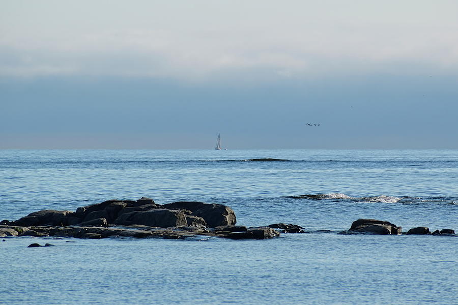 Birds flying over the ocean while two boats are cruising at the horizon