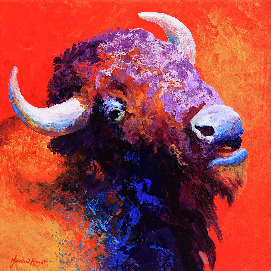 Wildlife Painting - Bison Attitude #1 by Marion Rose