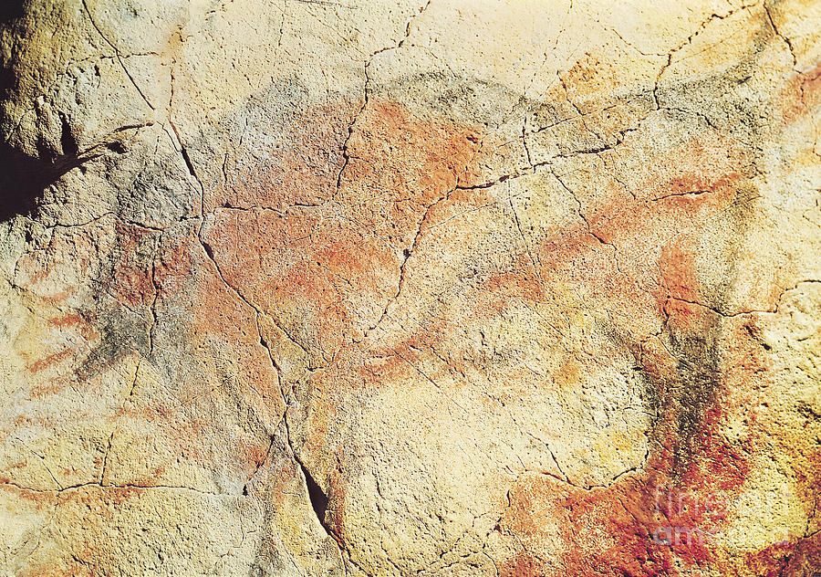 Bison, From The Caves At Altamira, C.15000 Bc Painting by Prehistoric ...