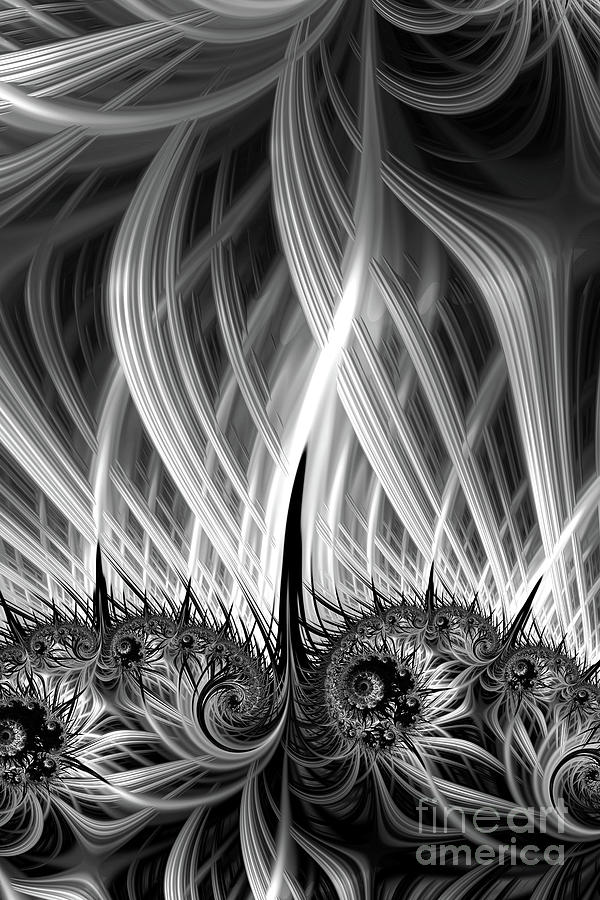 Black and White Fractal #1 Digital Art by Ann Garrett