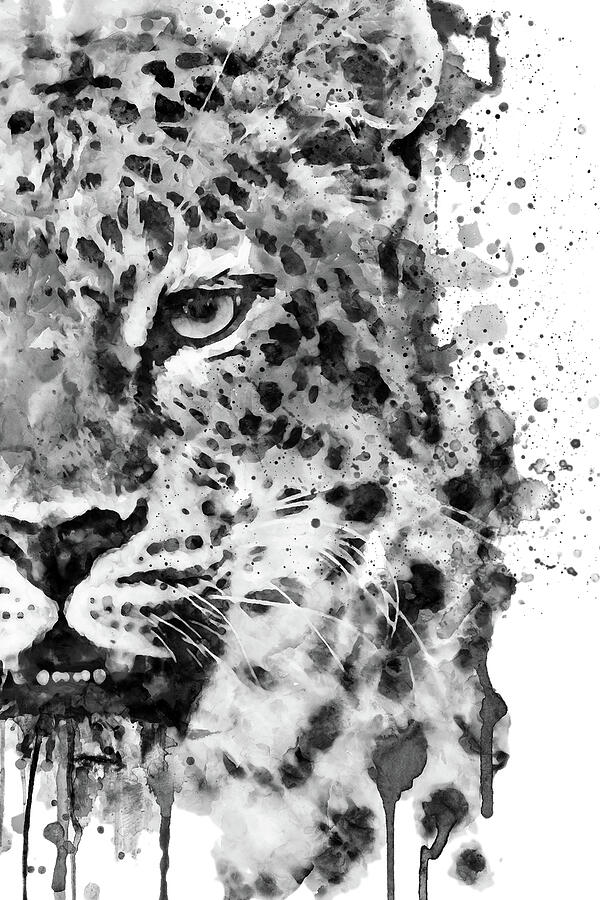 Black And White Painting - Black And White Half Faced Leopard #2 by Marian Voicu