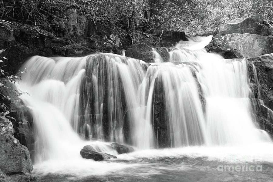Black And White Waterfall Photograph by Phil Perkins