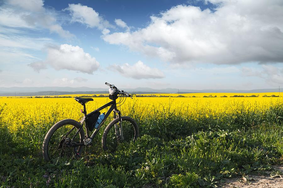 Flower Photograph - Black Male Bike On Blooming Yellow #1 by Ivan Kmit
