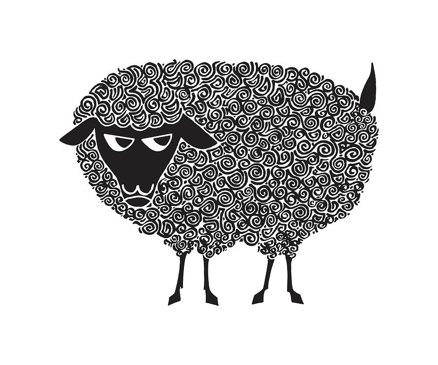 Black Sheep Drawing by CSA Images Fine Art America