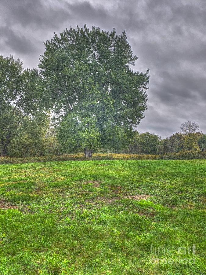 Blacklick Circle Earthwork by Jeremy Lankford Blacklick Circle Earthwork by Jeremy Lankford