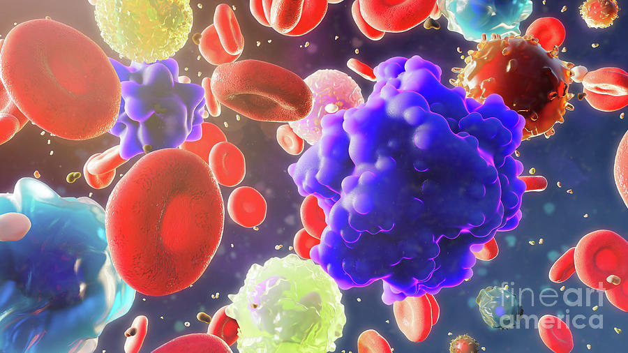 Blood Cells With Circulating Tumor Cells #1 Photograph by Nanoclustering/science Photo Library