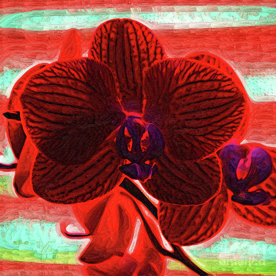 Blood Red Orchid by Kirt Tisdale Blood Red Orchid by Kirt Tisdale