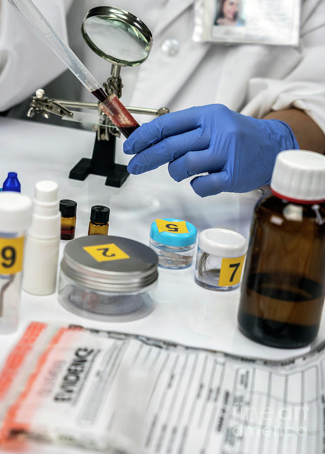 Blood Sample For Forensic Analysis #1 Photograph by Science Photo Library Blood Sample For Forensic Analysis #1 Photograph by Science Photo Library