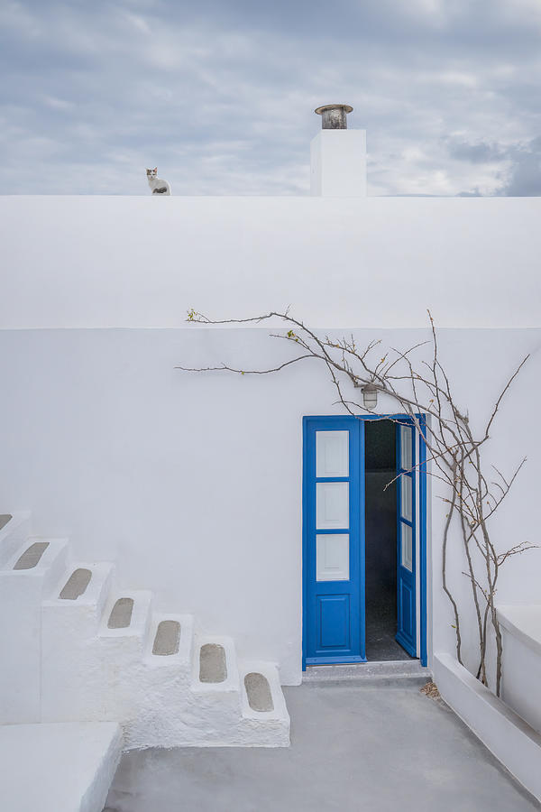 Blue And White #1 Photograph by Ling Zhang
