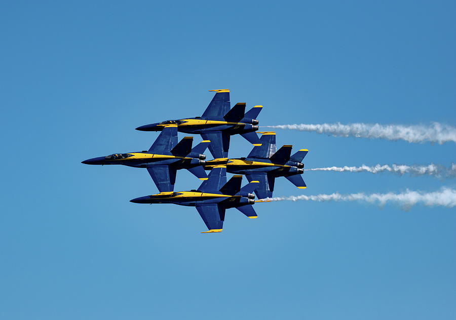 Tight Formation Photograph by Rose Guinther | Fine Art America