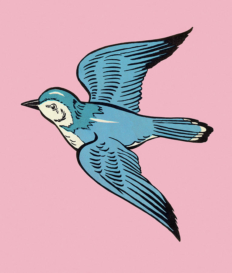 Vintage Drawing - Blue Bird #1 by CSA Images