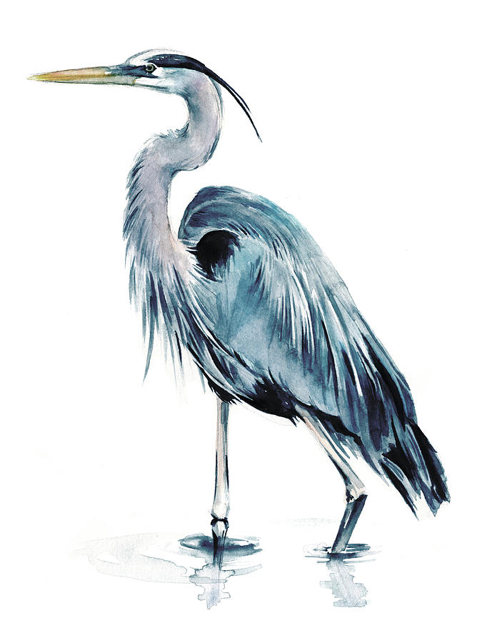 Animal Painting - Blue Blue Heron II #1 by Jennifer Paxton Parker