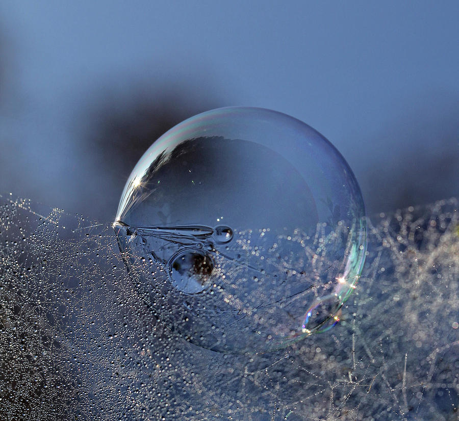 Blue Bubble Morning Photograph by Kent Mathiesen - Fine Art America