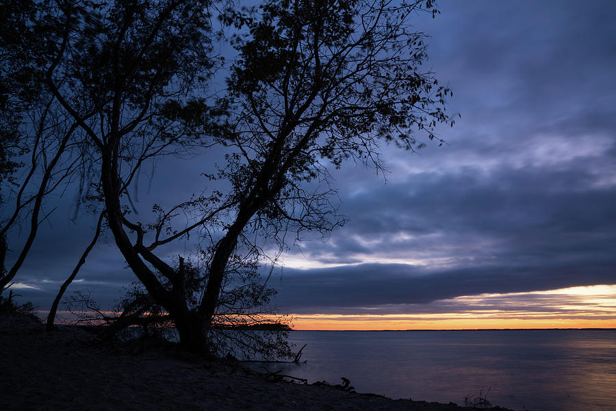 Blue Hour sunset on a bay with dead tree #1 Photograph by Kyle Lee