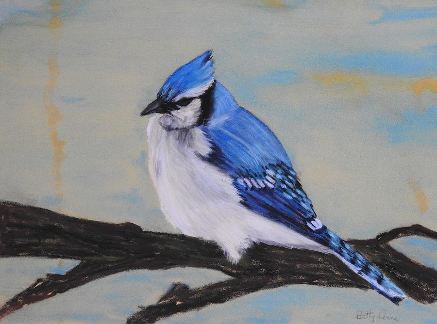Blue Jay #1 Pastel by Betty-Anne McDonald