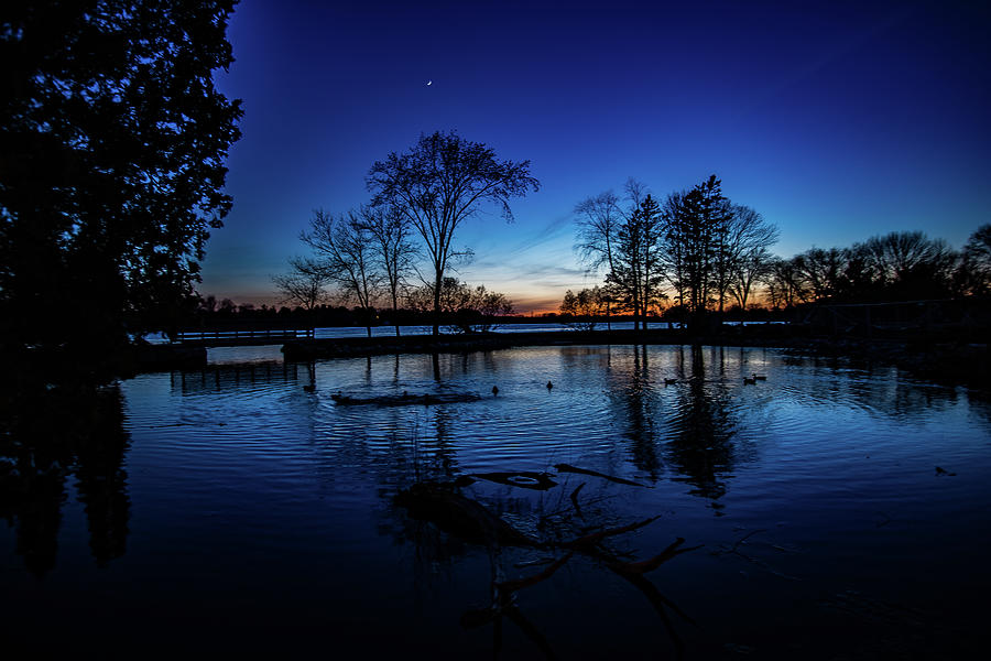 Blue Lagoon by Neal Nealis Blue Lagoon by Neal Nealis