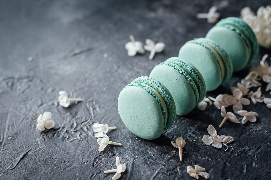 Blue Macarons And White Lilacs #1 Photograph by Kate Prihodko