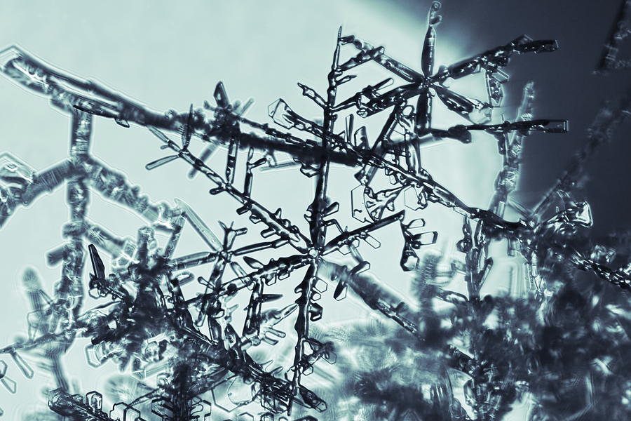 Blue snowflakes #1 Photograph by Intensivelight