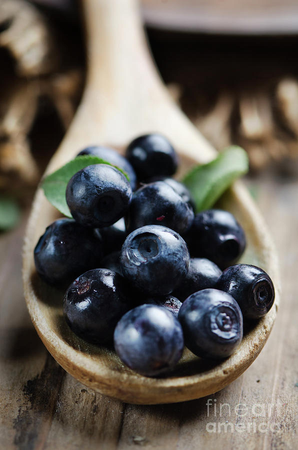 Blueberry #1 Photograph by Jelena Jovanovic