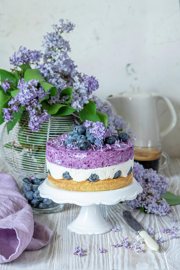 Blueberry Mousse Cake #1 Photograph by Irina Meliukh