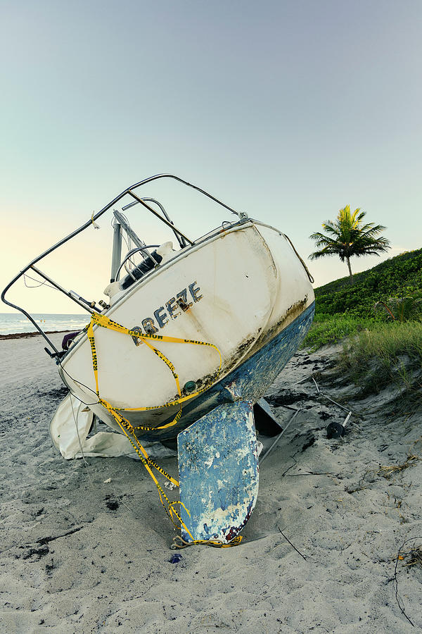 Boat Wreck On Beach With Palm Tree In Background #1 Digital Art by Laura Diez