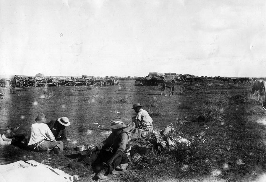 Nature Photograph - Boer War #1 by Reinhold Thiele