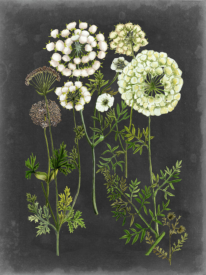 Bookplate Floral II #1 Painting by Naomi Mccavitt