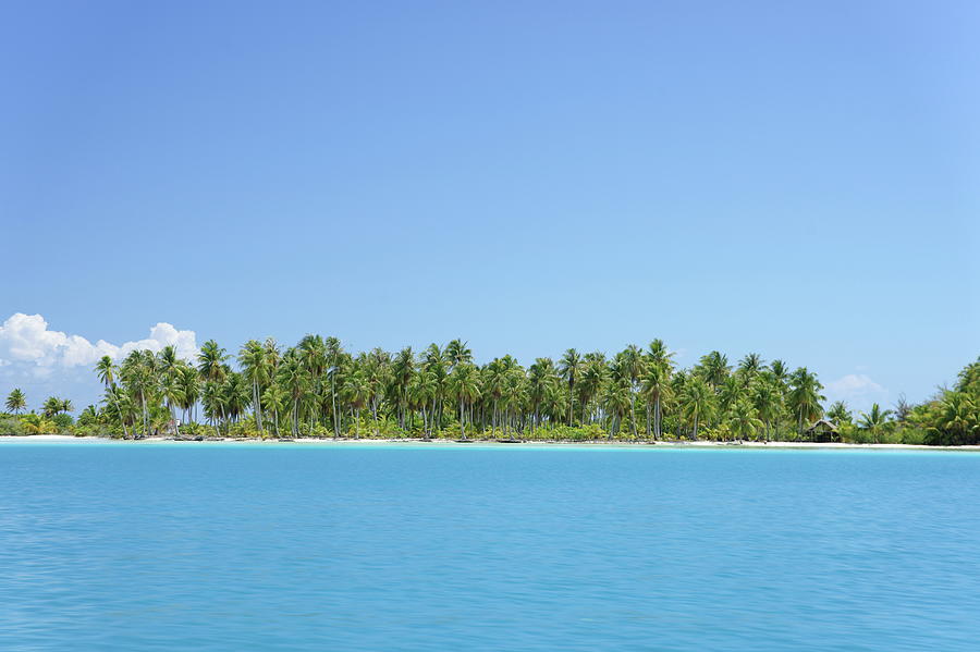 Bora Bora Island, Tahiti #1 Photograph by Naofumi Kuroki/amanaimagesrf