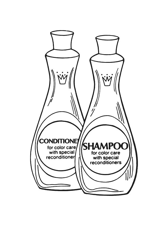 Bottles of shampoo and hair conditioner Drawing by CSA Images Fine