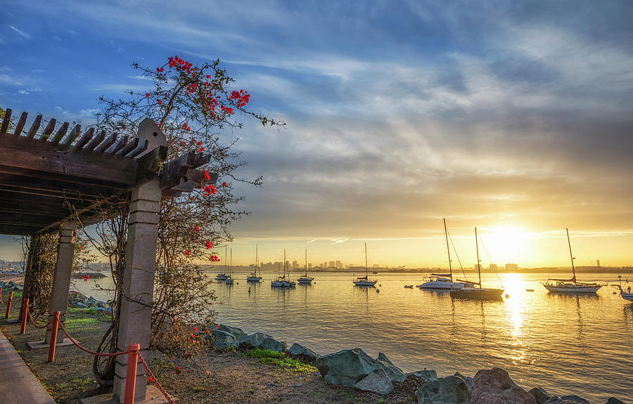 Boat Photograph - Bougainvillea Sunrise #1 by Joseph S Giacalone