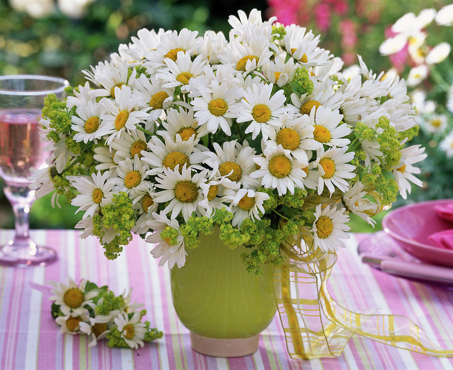 Bouquet Of Leucanthemum And Alchemilla Photograph By Friedrich Strauss 