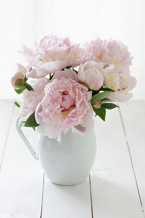 Bouquet Of Peonies In Jug #1 Photograph by Emma Friedrichs