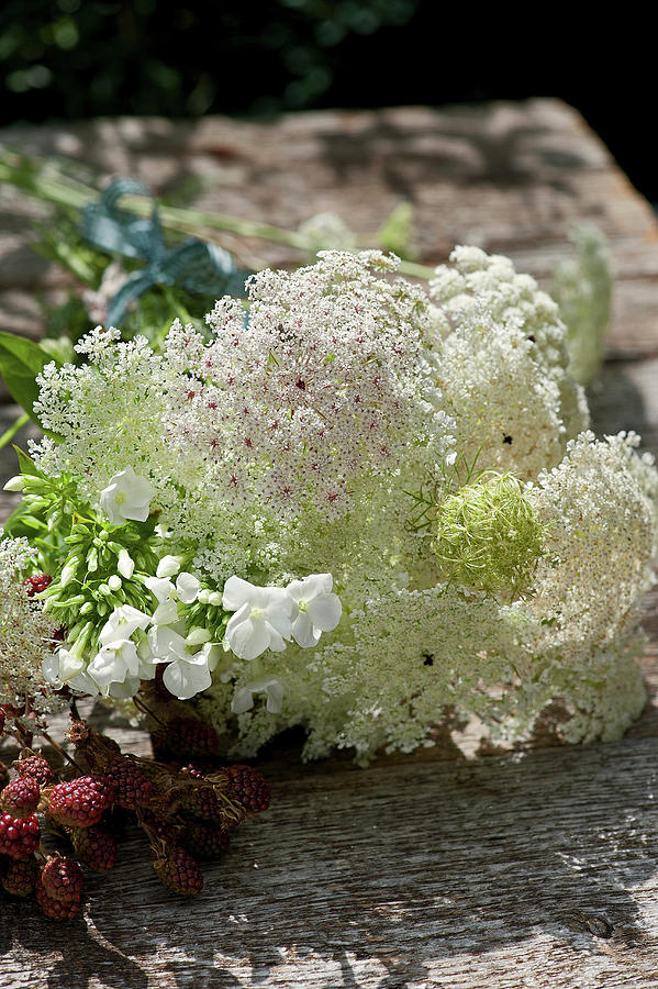 Bouquet Of Queen Annes Lace, Phlox And Unripe Blackberries #1 Photograph by Elisabeth Berkau
