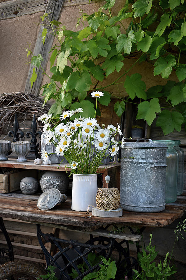 Bouquet Of Spring Daisies On Diy Work Table Made Of Old Wooden Door And Sewing Machine Table #1 Photograph by Christin By Hof 9