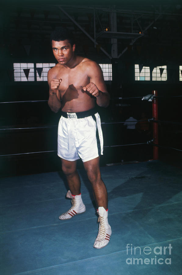 Boxer Muhammad Ali #1 Photograph by Bettmann