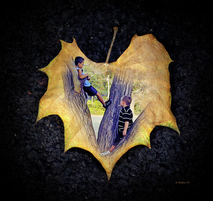 Boys Climb Trees #1 Digital Art by Brian Wallace