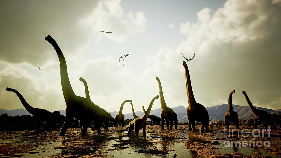 Brachiosaurus Dinosaur Herd #1 Photograph by Richard Jones/science Photo Library