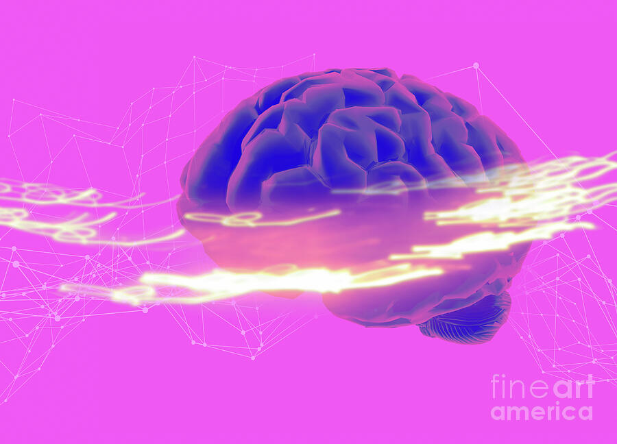 Brain Fog #1 Photograph by Victor Habbick Visions/science Photo Library Brain Fog #1 Photograph by Victor Habbick Visions/science Photo Library