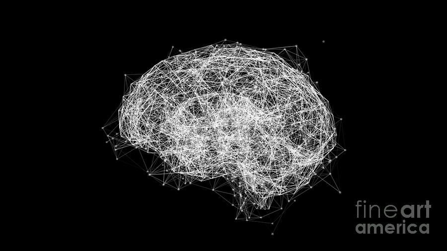 Brain Neural Network #1 Photograph by Jesper Klausen/science Photo Library