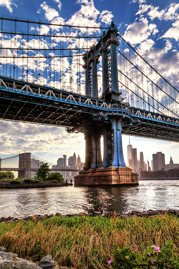 Bridge & Skyline Brooklyn Nyc Digital Art by Lumiere - Fine Art America