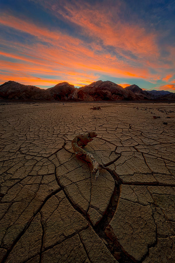 Bright Sunrise Over Cracked Land #1 Photograph by Lydia Jacobs