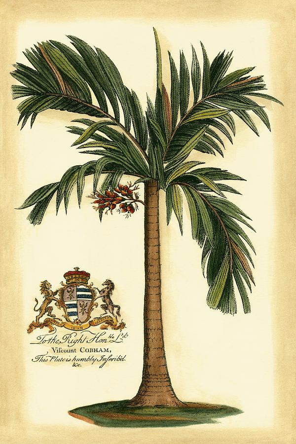British Colonial Palm I #1 Painting by Vision Studio