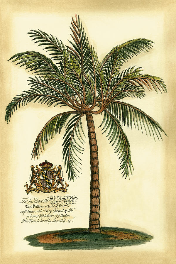 British Colonial Palm IIi #1 Painting by Vision Studio