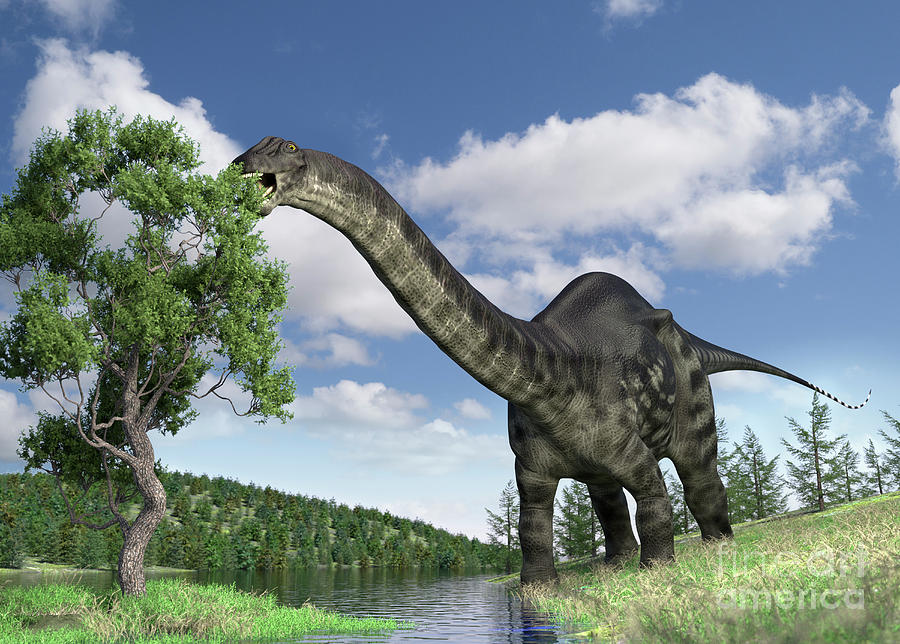 Brontosaurus Photograph By Roger Harrisscience Photo Library Pixels 5084